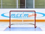 Имитатор - хоккейные ворота Т-770 - магазин СпортДоставка. Спортивные товары интернет магазин в Екатеринбурге 