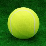 Мяч для большого тенниса самый дешёвый s-dostavka - магазин СпортДоставка. Спортивные товары интернет магазин в Екатеринбурге 